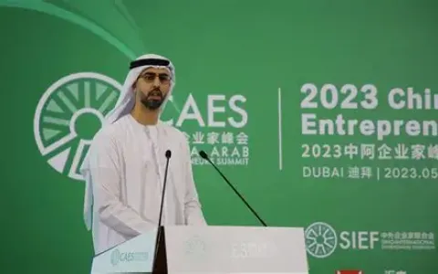 出海迪拜税务全攻略：中国卖家必知的税务结构与优惠政策（2025最新版）