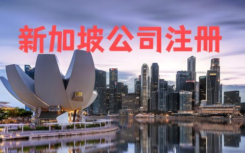 2025年新加坡公司注册全指南：条件、流程、费用及银行开户详解