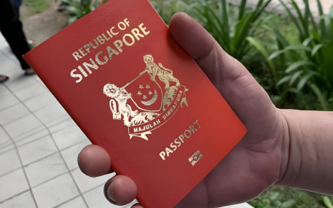 新加坡 2025 年最佳商业机会：盘点那些高潜力与低门槛的创业领域