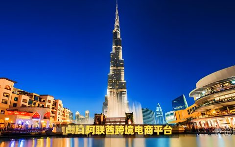 2025年阿联酋电商市场趋势：六大高潜力品类与选品策略