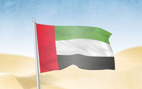 2025阿联酋电商市场指南：中国卖家掘金中东的机遇、风险与实战策略