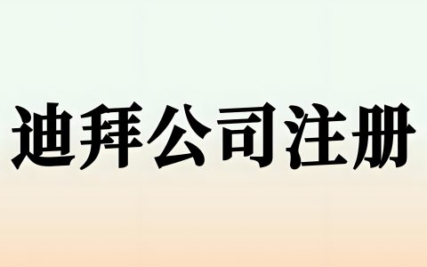 迪拜自由区内地运营许可证政策解析：机遇、申请与市场前景