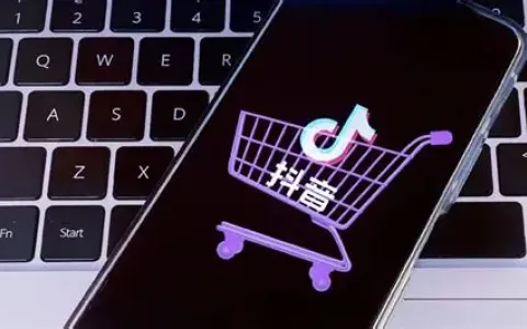 抖音电商双11大促：中国卖家的新机遇与策略指南