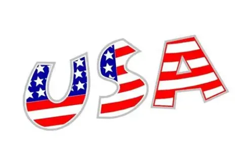 2025美国公司注册新指南：中国卖家如何选州避税与业务模式适配？