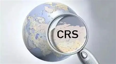 CRS风暴下的中美税务博弈:中国卖家如何突破合规困局,抢占全球市场先机?