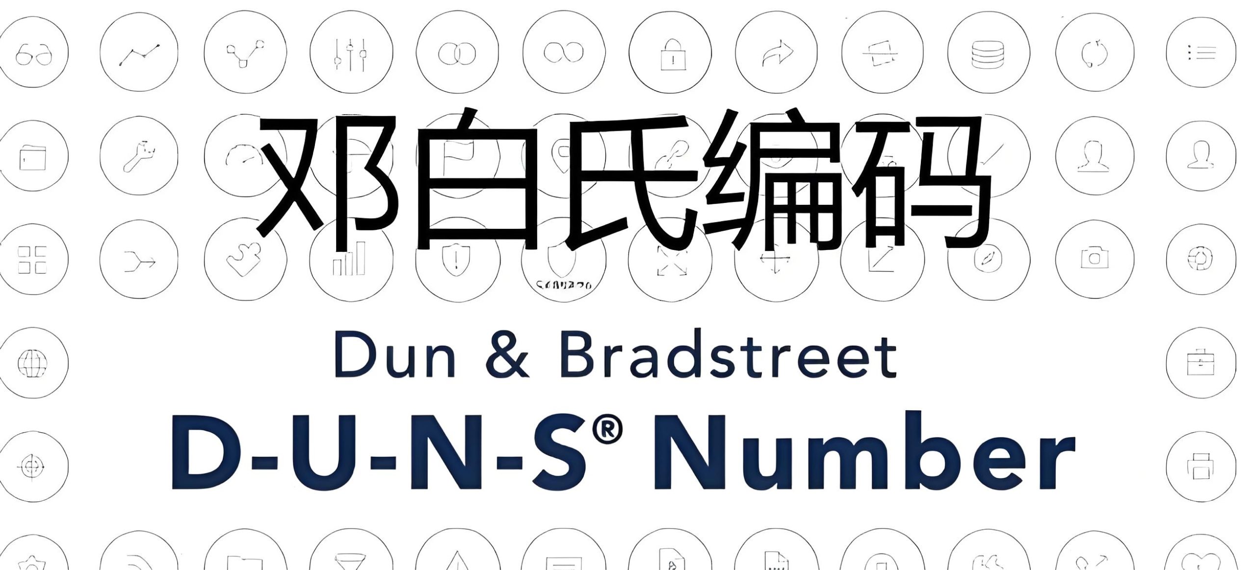 邓白氏编码vs. FEI号：申请流程、核心区别与实战经验- ingstart-全球公司成立与合规