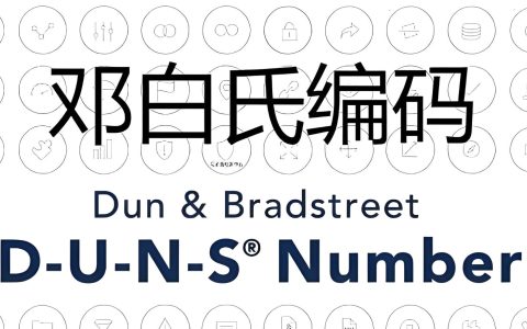 邓白氏编码 vs. FEI号：申请流程、核心区别与实战经验