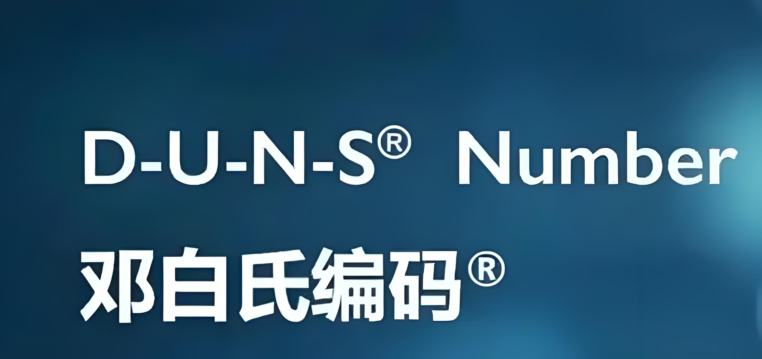 邓白氏编码 vs. FEI号：申请流程、核心区别与实战经验