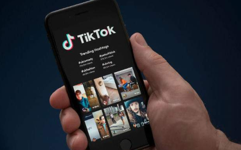 亚马逊/TikTok本土店审核全攻略：中国卖家如何突破合规壁垒，抢占2025跨境新机遇？