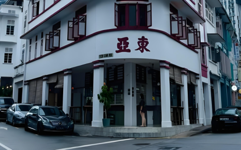 中国电商卖家如何利用新加坡公司进入东南亚市场（2025）