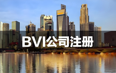 2025年注册BVI公司的核心优势与全流程指南：税收、隐私与合规解析