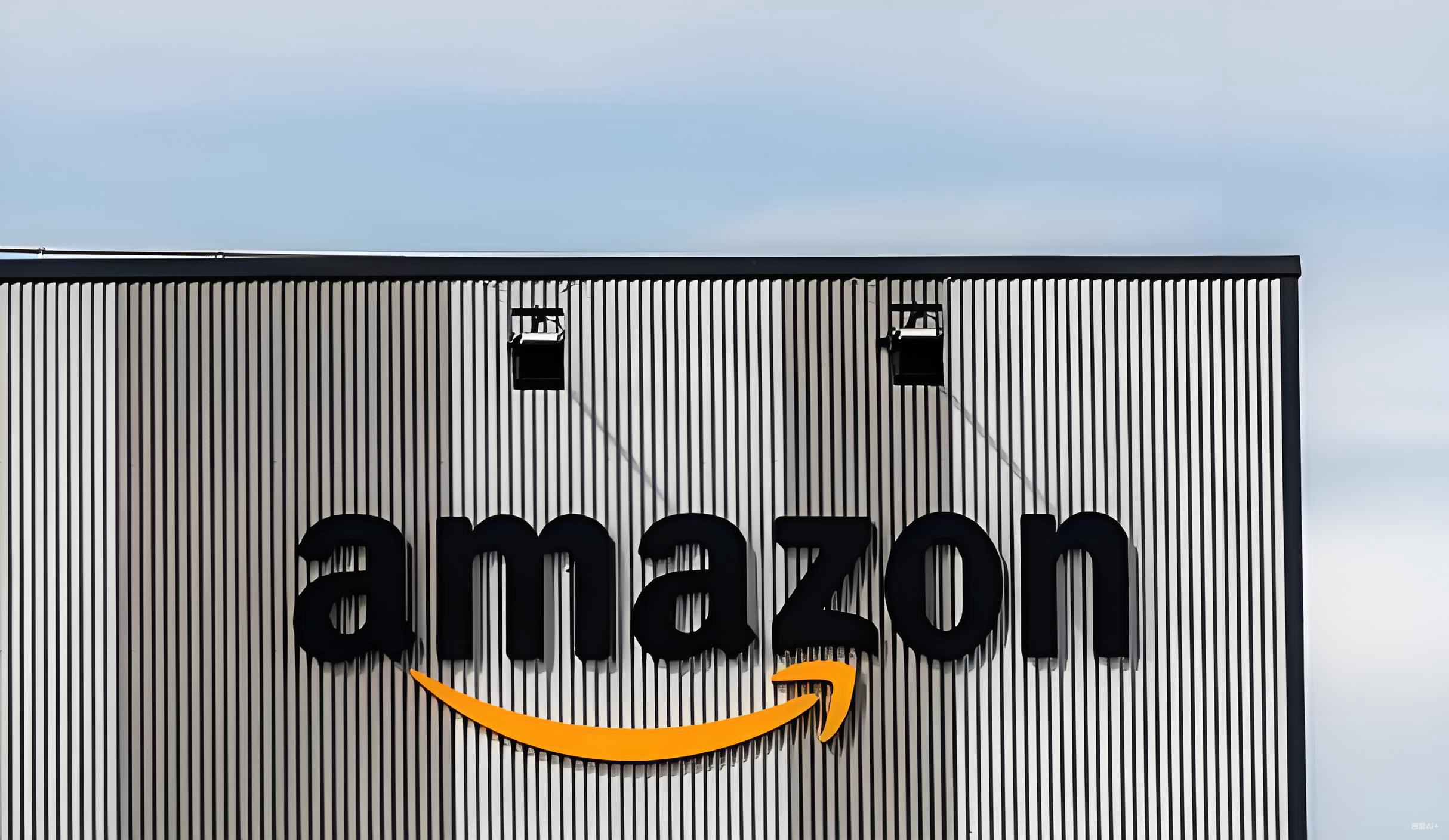 京东亚马逊双十一跨境电商投资指南：政策红利、机遇策略与未来前景分析