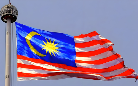 马来西亚税号申请避坑指南：避开7个常见错误与解决方案