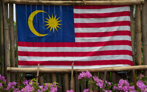 60是哪个国家的区号？中国投资者如何布局马来西亚市场？