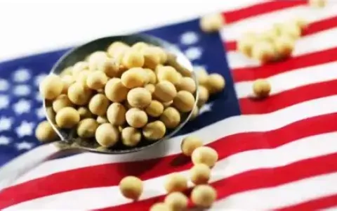 中美扩大农产品贸易新机遇：中国卖家如何降本增效与拓展市场（政策解读与实战策略）