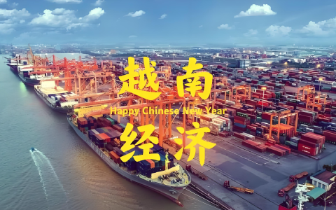 2025年越南电商市场预测：105万亿越南盾收入，中国卖家如何抢占机遇