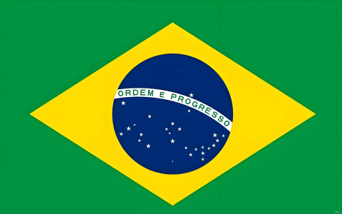 Temu巴西本土卖家计划开放：中国卖家突破增长瓶颈的全攻略