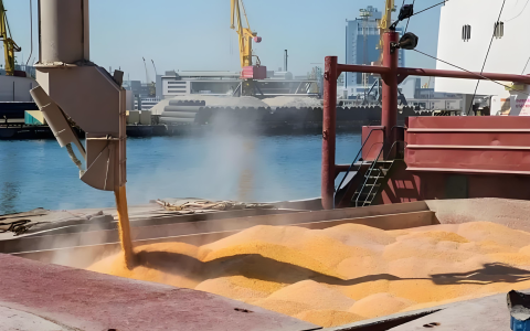 俄罗斯谷物出口配额倍增，中国供应商如何抢占2026年粮食贸易新机遇？