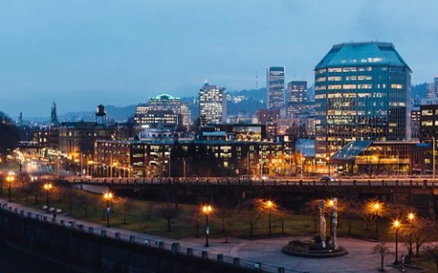 2025美国免税州深度解析：中国卖家如何借势突围，实现税务与业务双赢？