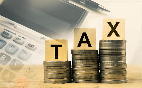 新加坡企业所得税申报截止,中国投资者税务规划,新加坡税务优惠2025