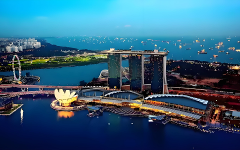 新加坡《进出口管制（修正）法案》生效，中国卖家合规指南与商机解析