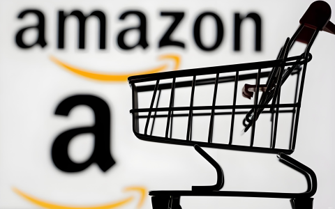 Thredup三季度营收增长34%，美国二手电商市场崛起，中国卖家如何抢占机遇