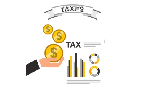 亚马逊报送卖家信息后，你的零申报还有希望吗？