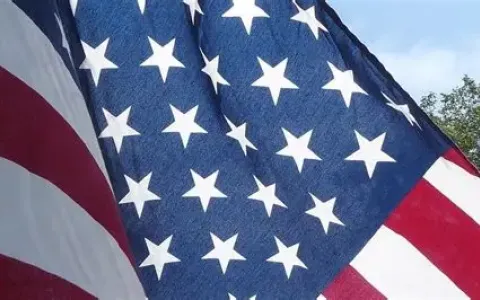 注册美国公司必知税表全解析：中国卖家如何抓住2025政策红利期？