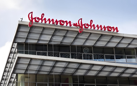 美国单人公司设立与运营指南：中国投资者的法律与税务策略