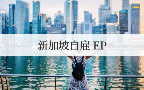 2025新加坡自雇EP新政终极指南：中国卖家如何突破最严审核实现身份与业务双赢