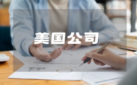 美国单人公司设立与运营全攻略：中国卖家的法律、税务与市场机遇