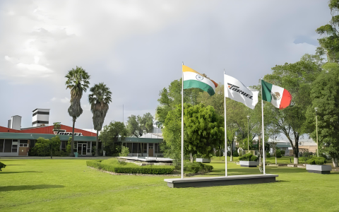 墨西哥反倾销复审来袭：中国气球出口商的挑战与本地化破局之道