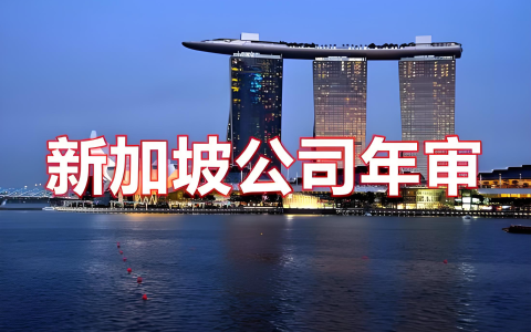 新加坡公司年审合规指南2025：中国投资者必读的风险预警与应对策略