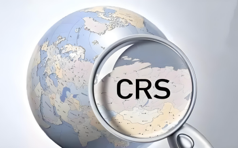 CRS与加比规则解析：全球税务透明时代中国投资者的合规指南