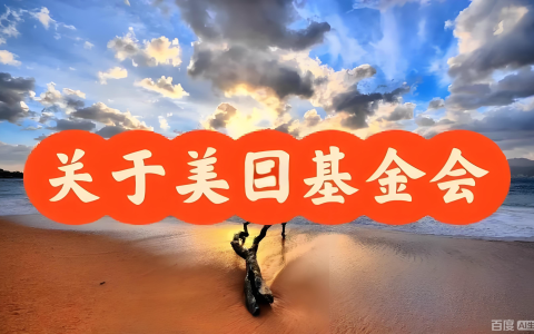 美国基金会设立全指南：类型、流程、合规及中国投资者的机遇与策略