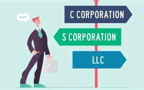LLC vs. C-Corp：初创公司如何选择？揭秘特拉华、怀俄明、内华达的“免税”真相