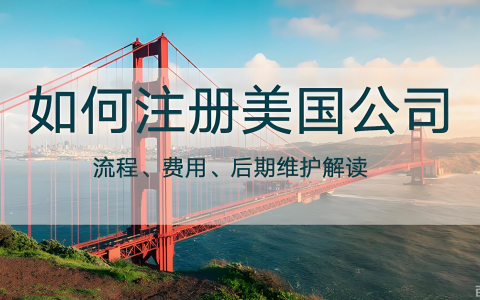 2025年美国公司注册费用详解：中国投资者的成本指南与避坑策略