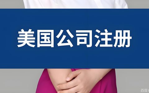 2025—2026赴美开公司指南：免税州选择、LLC与Inc.对比及中国投资者机遇