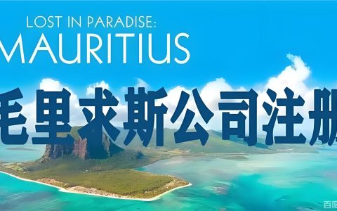 2025-2026年毛里求斯公司注册全指南：投资优势、税收政策与中国投资者机遇