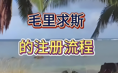 为何选择毛里求斯？2025–2026年投资优势与中国投资者新机遇全解析