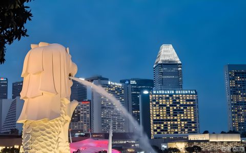 2026年中国专业服务机构落地新加坡指南：步骤、风险与投资机遇