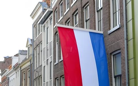 荷兰投资全面解析：中国投资者如何借助+31区号优势布局欧洲市场