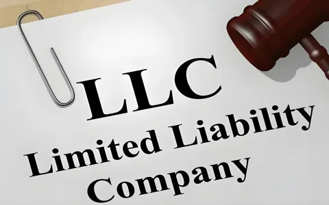 2026年美国LLC注册全攻略：中国卖家合规降本30%，15天快速设立美国公司（lngStart专业服务）