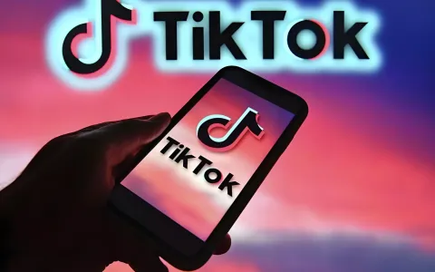 TikTok Shop Local日本落地指南：中国卖家的机遇、挑战与实战策略