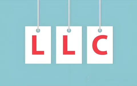 LLC还是C-Corp？2026中国投资者美国公司注册实体避坑指南（lngStart）