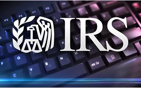 在美国开公司的六大“隐形权限”：从被动纳税到主动规划，中国投资者如何抓住2026年新政红利