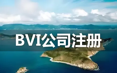 独立开发者与创业者的离岸公司指南：何时需要BVI或开曼架构？（2026合规版）