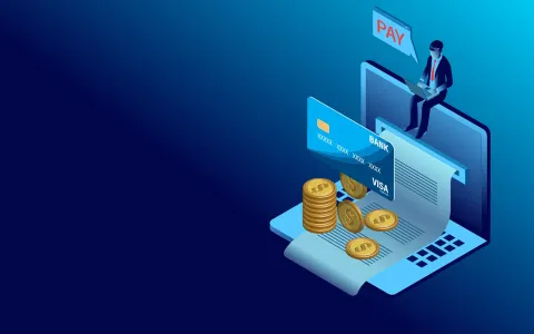 独立开发者出海支付解决方案 | Stripe封号、PayPal冻结、汇损问题一站式解决（lngStart）