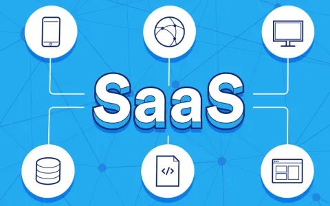 SaaS开发者为何注册新加坡公司？一文讲透合规、税务与流程