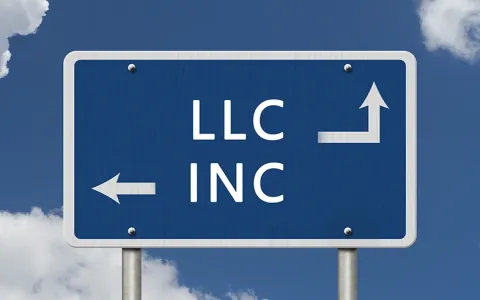 美国跨境电商税负太高？LLC转C Corp实战指南，平均节税18%（lngStart）